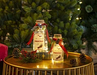 Glass sticker bottle with string light