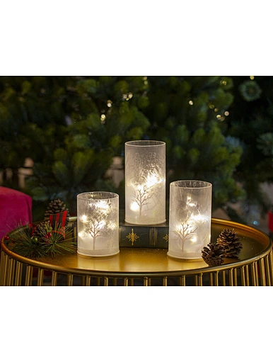 Silk  printing frosted glass cup with string light