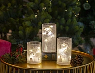 Silk  printing frosted glass cup with string light