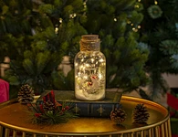 Glass silk printing bottle with string light