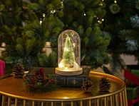 LED dome glass with wooden base with light chain