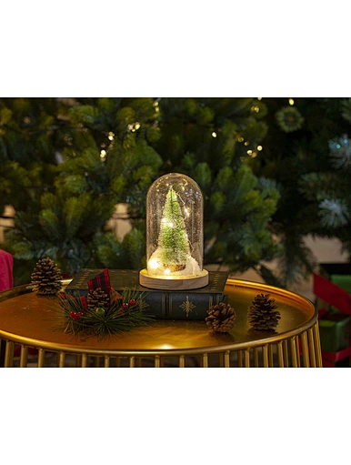 LED dome glass with wooden base with light chain