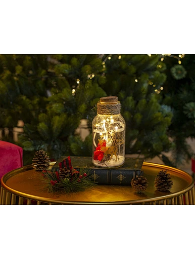 Glass silk printing bottle with string light