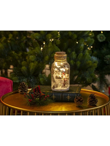 Glass silk printing bottle with string light