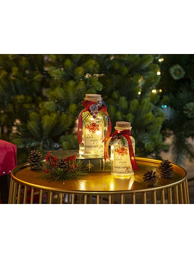 Glass sticker bottle with string light