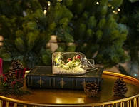 LED glass bottle with xmas deco with light chain