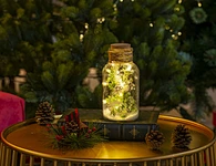 Glass silk printing bottle with string light