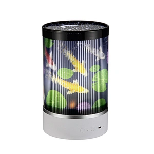 Animated Night Light Rechargeable Rotating Starry LED Desk Lamp with Remote Control Portable Hanging String Multi-Color