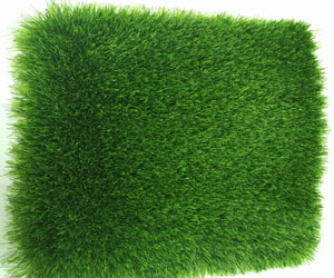 leisure grass