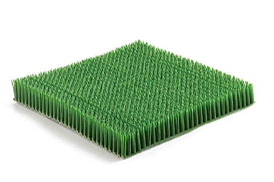 0 (6).jpg skiing grass