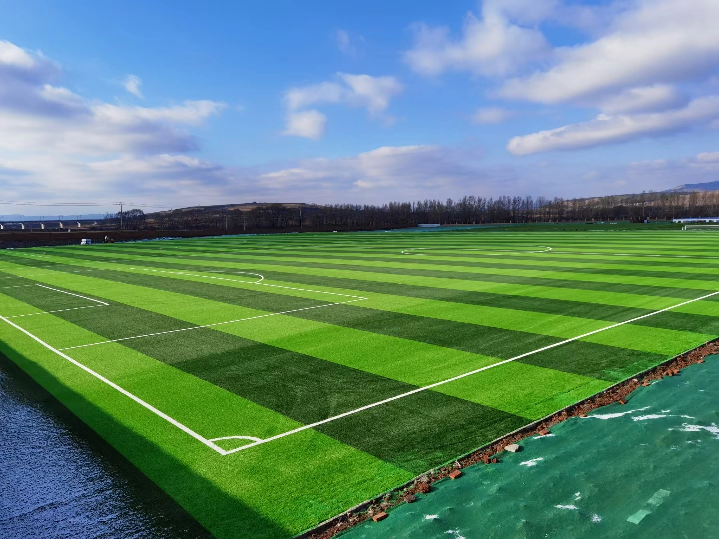 grass for football field