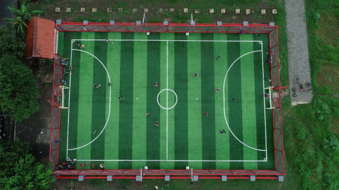图片ffff.png grass for football field