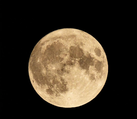 mid autumn festival