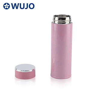 Magfrasco best selling 400ml 13OZ eco double wall stainless steel infuser tea water filter bottle