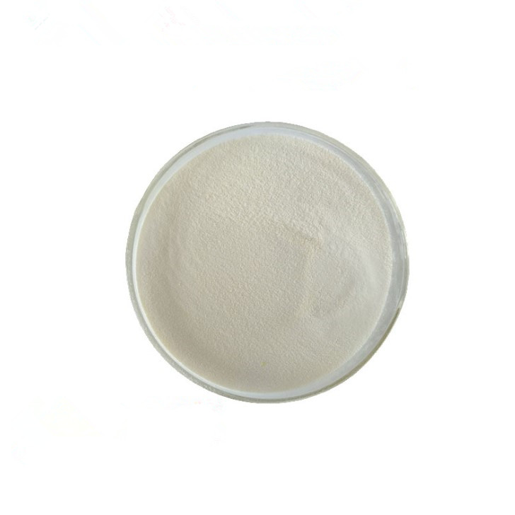 100% Whey Protein Powder Gold Standard Supplement Sports Nutrition Shake Customized Manufacture Improve Immunity & Anti-Fatigue