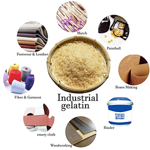 Bulk Beef Bone Skin Industrial Technical Grade Gelatin for Paintball Balls