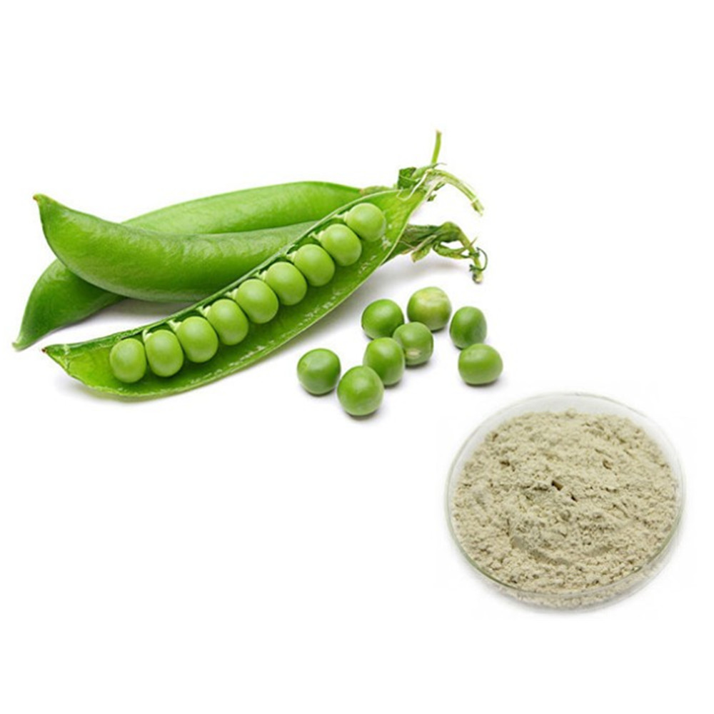 NON-GMO Bulk Supply Organic Pea Isolate Protein Powder