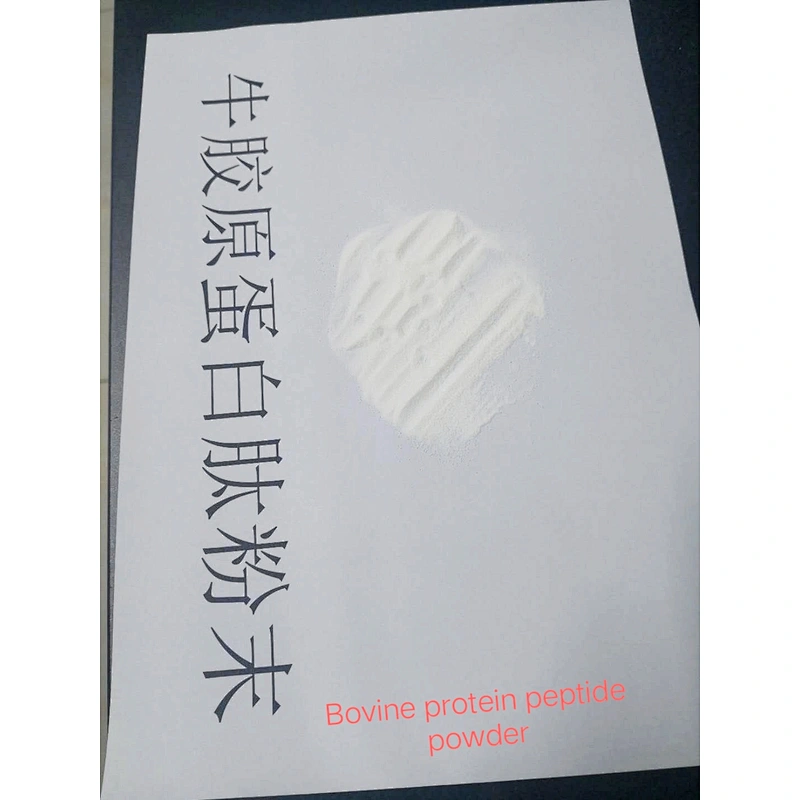Food Shake replacement meal healthy food with protein powder