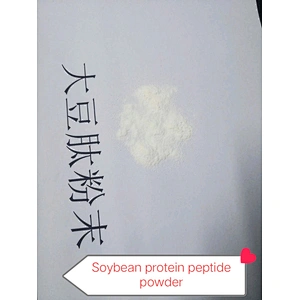 Food Shake replacement meal healthy food with protein powder