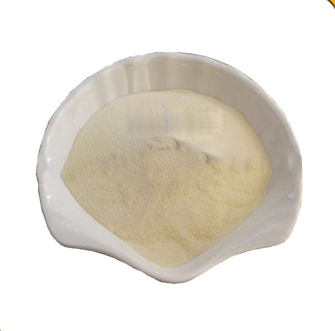 Food Shake replacement meal healthy food with protein powder