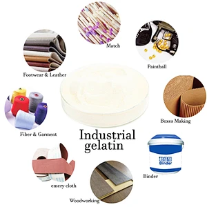 Hot selling food grade gelatin with MOQ 1 TON
