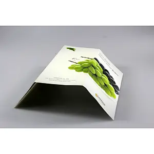 glossy and matt company catalog booklet brochure printing