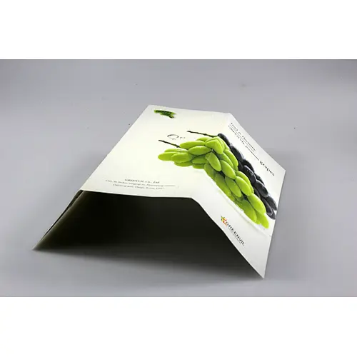 glossy and matt company catalog booklet brochure printing