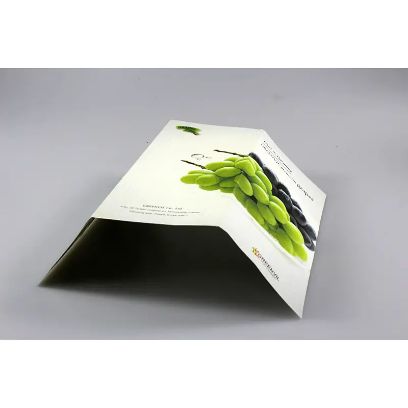 glossy and matt company catalog booklet brochure printing