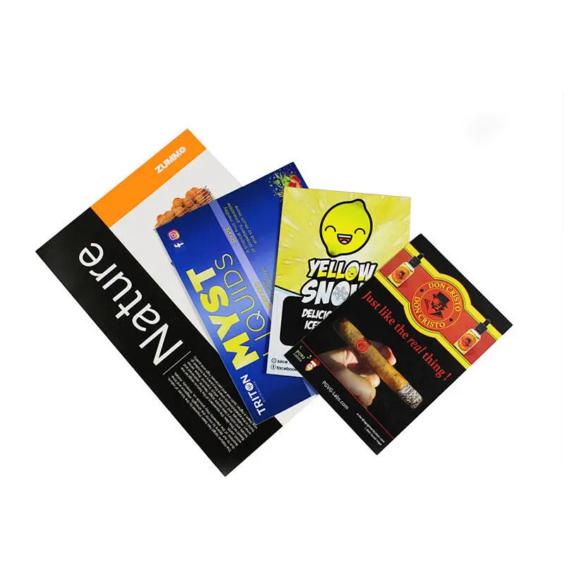 cmyk printed company flyer booklet brochure product introduction page