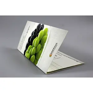 glossy and matt company catalog booklet brochure printing
