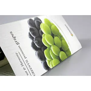 glossy and matt company catalog booklet brochure printing