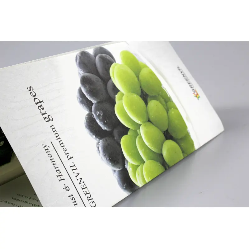 glossy and matt company catalog booklet brochure printing