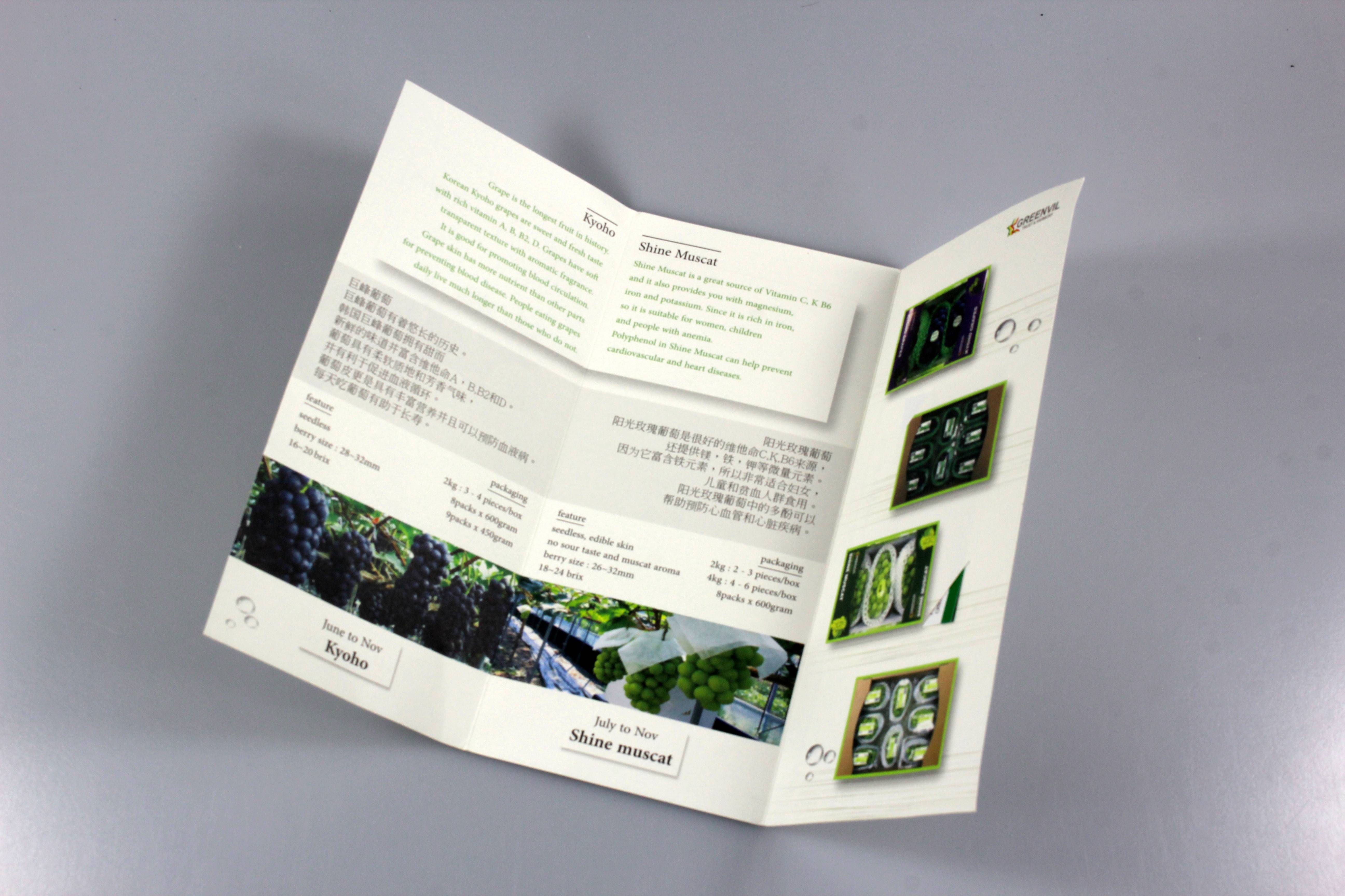 folding brochure