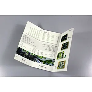 glossy and matt company catalog booklet brochure printing
