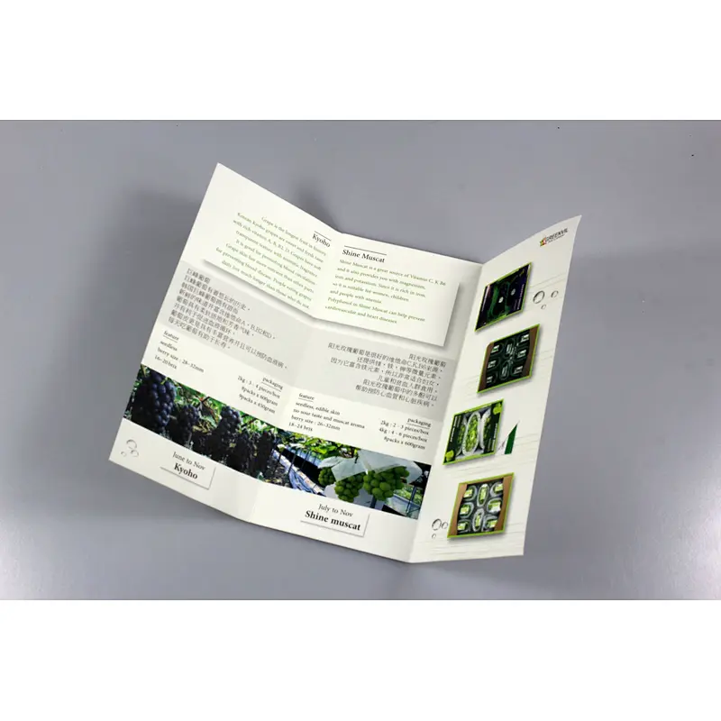 glossy and matt company catalog booklet brochure printing