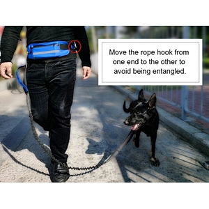 Amazon hot selling wholesale dog leash pet dog rope collars and leash products