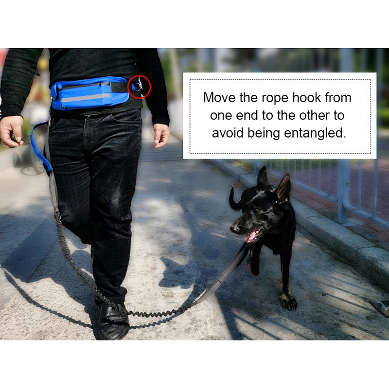 Amazon hot selling wholesale dog leash pet dog rope collars and leash products