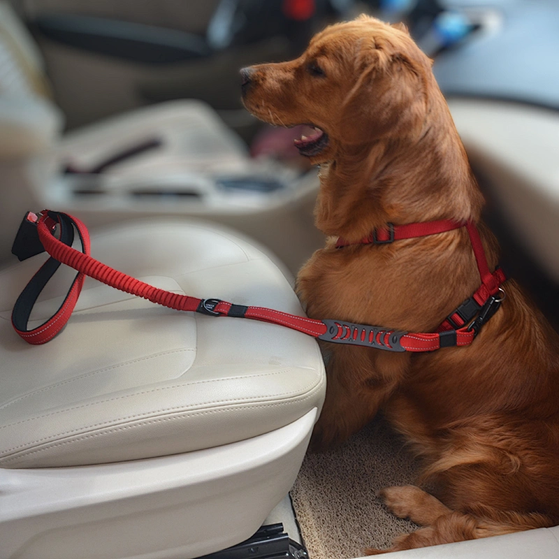 Harness Plus Adjustable Leash Multifunctional Movable Vest Harness Thick Webbing With Pet Outdoor Safety Strip Belt