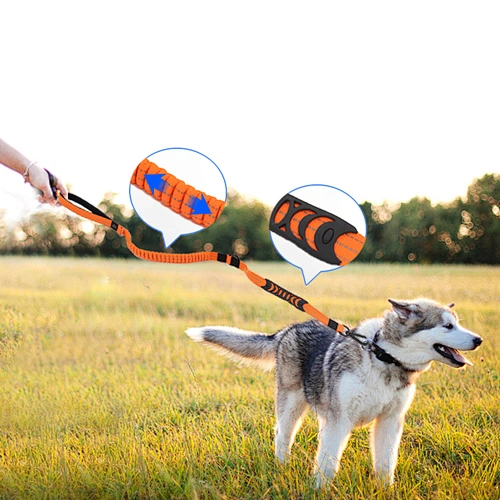 Multifunctional Elastic Lead Durable Reflective Nylon Bungee Car Seat Belt Safety Buckle Dog Leash