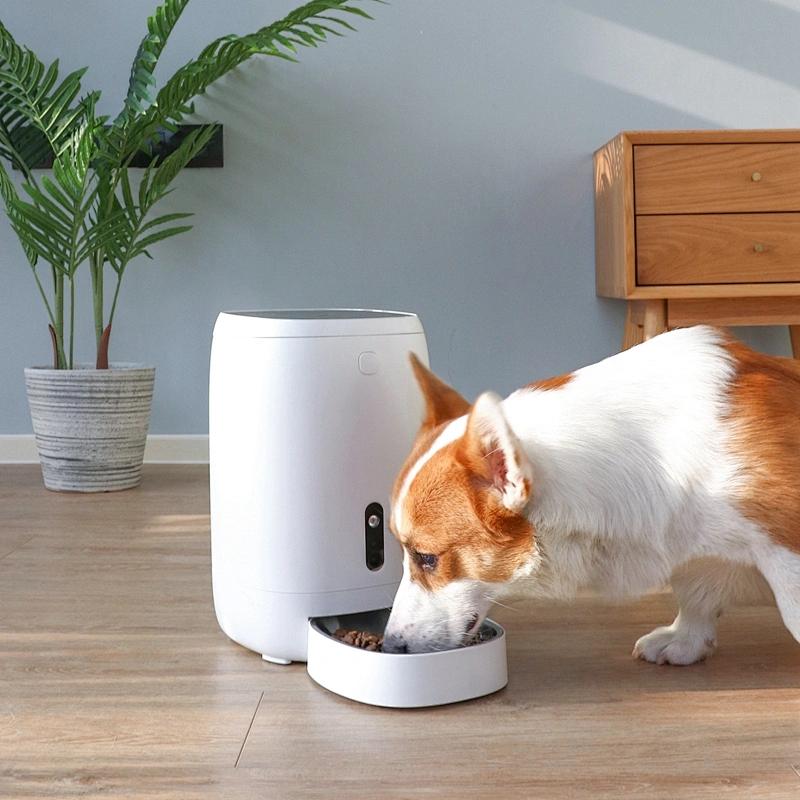 Promotional wifi remote camera control 4L  dog food feeder smart interactive pet dispenser microchip automatic pet feeder