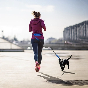 Amazon hot selling wholesale dog leash pet dog rope collars and leash products