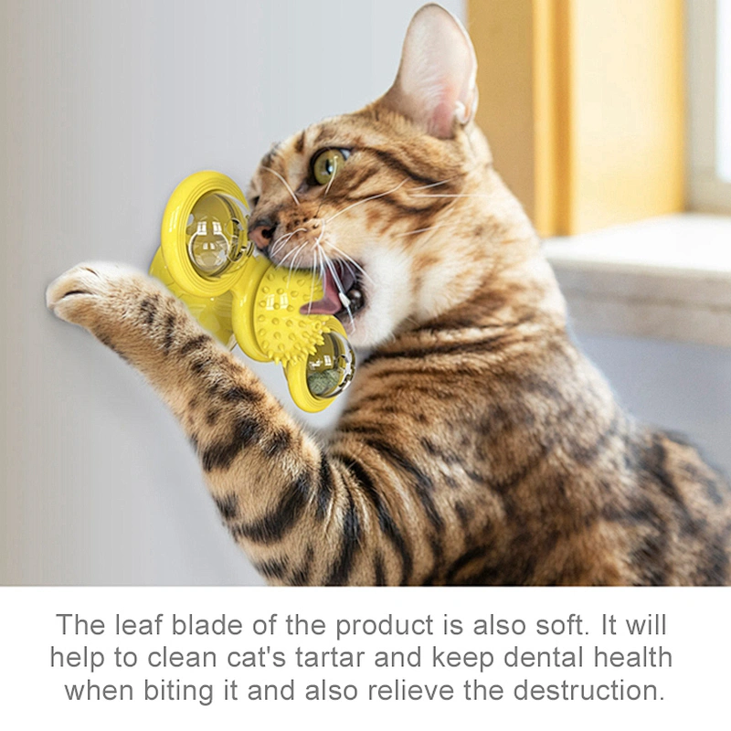 2021 New Style Interactive Electronic Cat Soft Accessories Toy Set