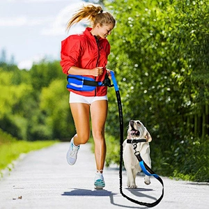 Pet Running Traction Belt Exercise Fitness Running Walking Dog Traction Rope Reflective Elastic Dog Rope dog leash