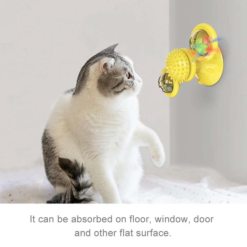 2021 New Style Interactive Electronic Cat Soft Accessories Toy Set