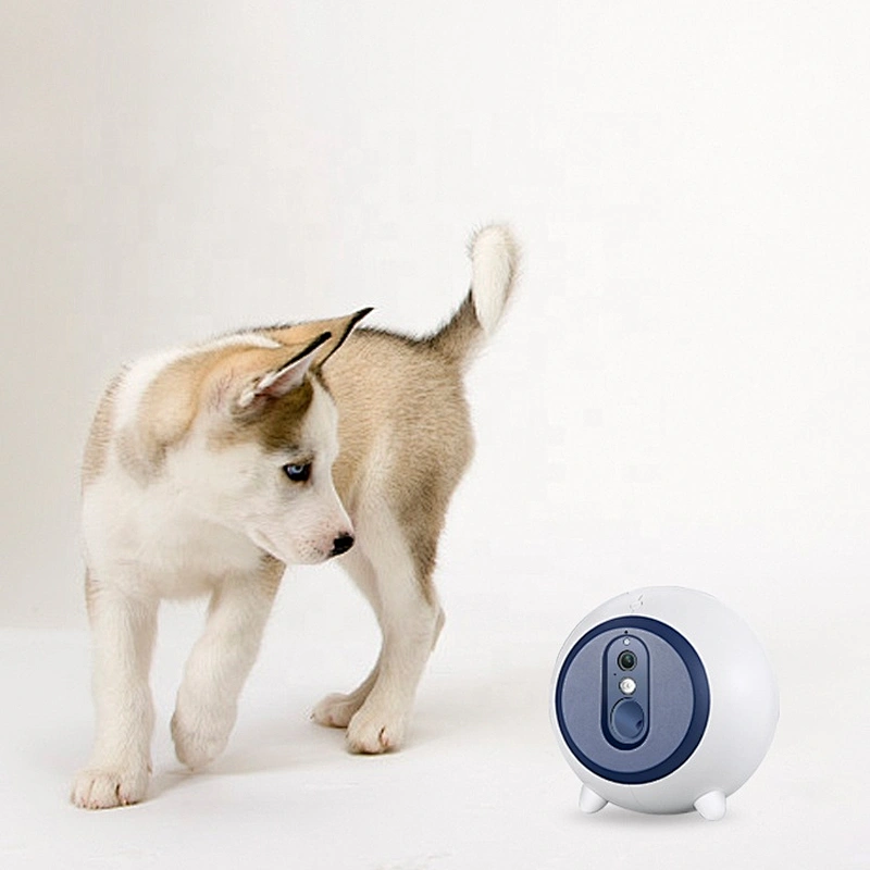 2020 best selling pet product Automatic pet Interactive Smart Wifi APP Dog Camera Pet Food Treat Feeder Dispenser