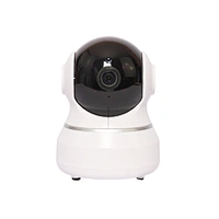 Indoor CameraRobot Pet Cctv Camera Monitoring Dogs And Cats
