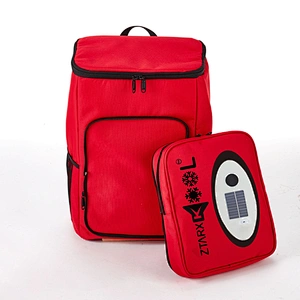 ZTARX S20-NL02-R02 Red Cooler Bag