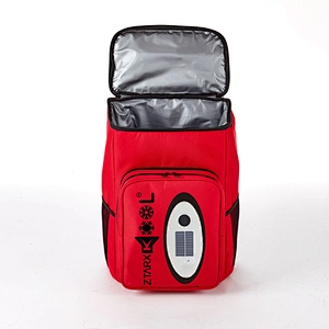 ZTARX S20-NL02-R02 Red Cooler Bag