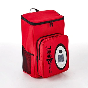 ZTARX S20-NL02-R02 Red Cooler Bag