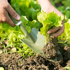 Professional Mini Soft TPR Handle Agriculture Cultivator Trowel Hand Garden Tool